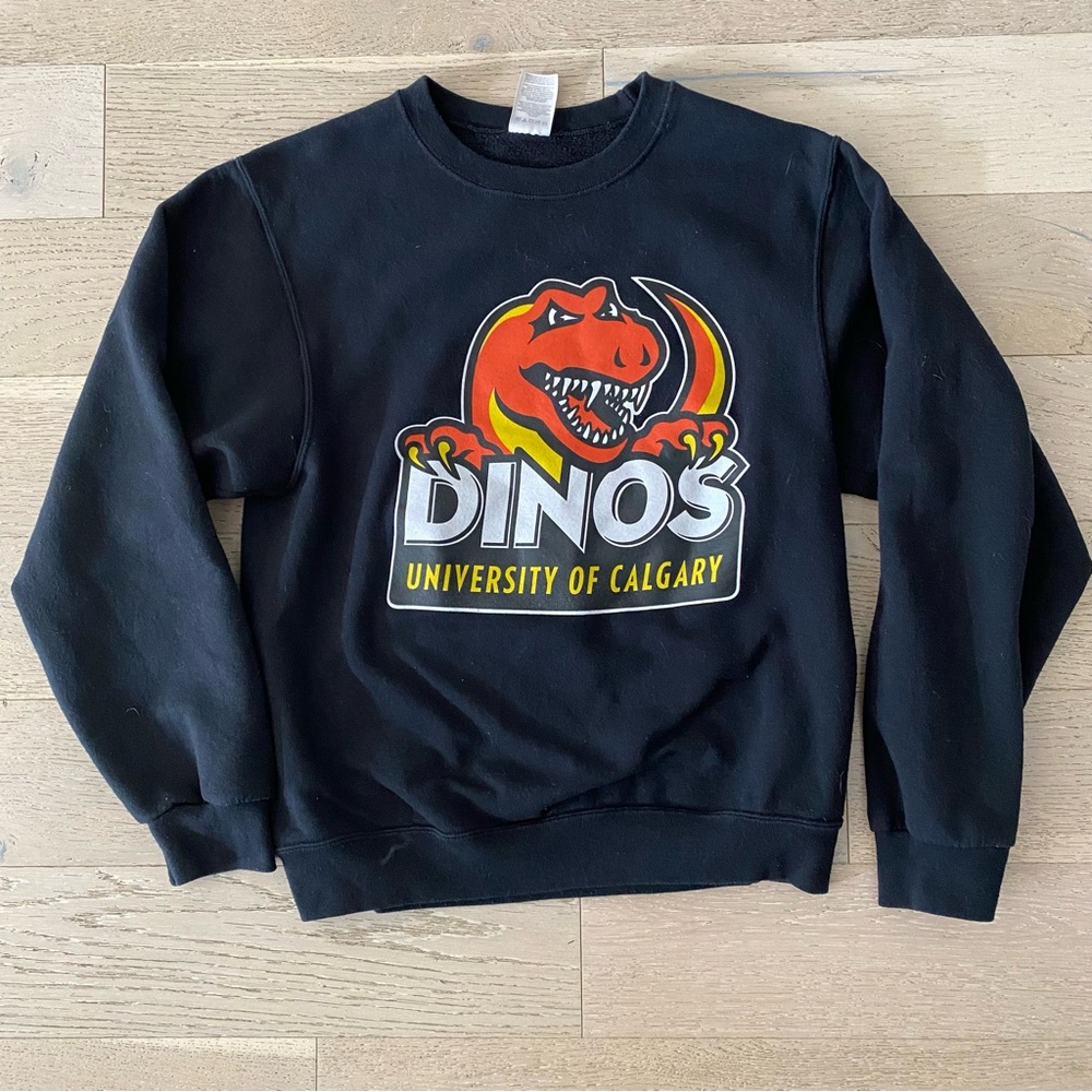 2/$15 🍍 University of Calgary Dino’s sweater